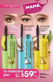 Catálogo Fuller Página 132