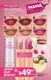 Catálogo Fuller Página 136