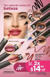 Catálogo Fuller Página 137