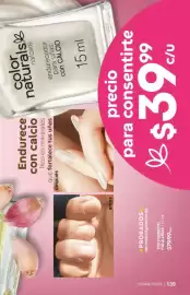 Catálogo Fuller Página 139