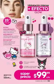 Catálogo Fuller Página 165