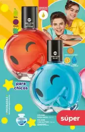 Catálogo Fuller Página 166