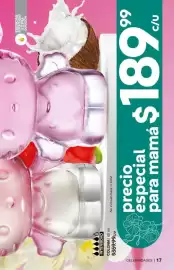 Catálogo Fuller Página 17