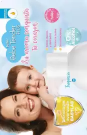 Catálogo Fuller Página 170