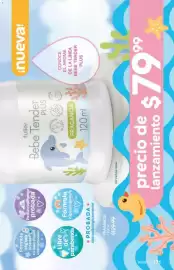 Catálogo Fuller Página 171