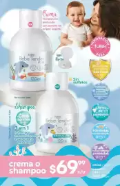 Catálogo Fuller Página 172