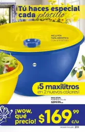 Catálogo Fuller Página 211