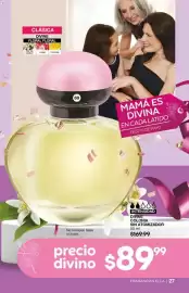 Catálogo Fuller Página 27