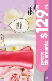 Catálogo Fuller Página 31