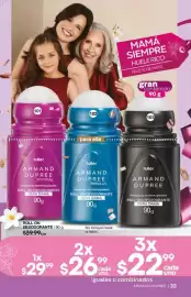 Catálogo Fuller Página 33