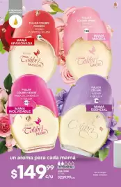 Catálogo Fuller Página 38