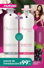 Catálogo Fuller Página 4