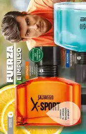 Catálogo Fuller Página 42