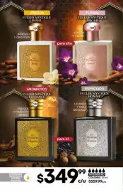 Catálogo Fuller Página 52