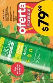 Catálogo Fuller Página 63