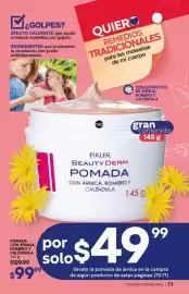 Catálogo Fuller Página 71