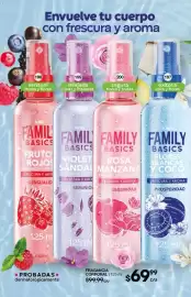 Catálogo Fuller Página 80