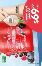 Catálogo Fuller Página 85