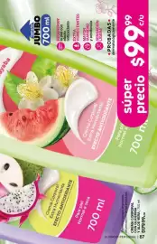 Catálogo Fuller Página 87