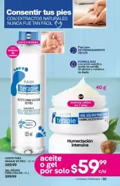 Catálogo Fuller Página 91