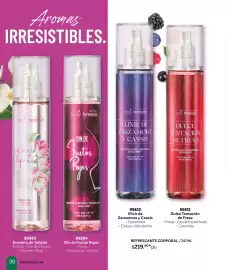 Catálogo Zermat Página 30