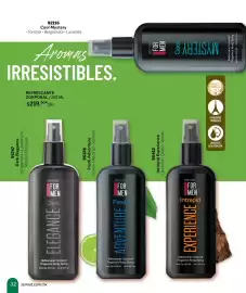 Catálogo Zermat Página 32