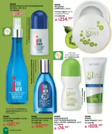 Catálogo Zermat Página 34