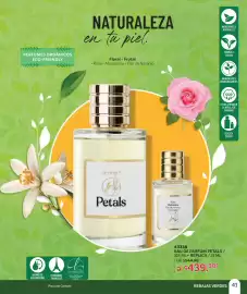 Catálogo Zermat Página 41