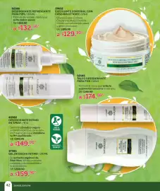 Catálogo Zermat Página 42