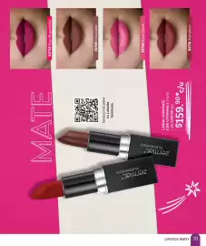 Catálogo Zermat Página 51