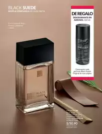 Catálogo Avon Página 100