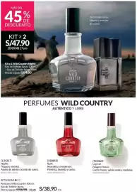 Catálogo Avon Página 107