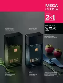 Catálogo Avon Página 236