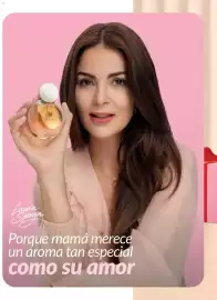Catálogo Avon Página 9