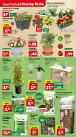 Thomas Philipps Prospekt Seite 3