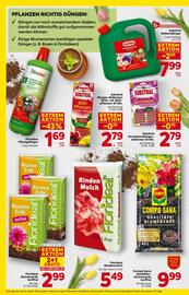 Billa Flugblatt Seite 4