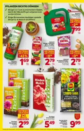 Billa Flugblatt Seite 4