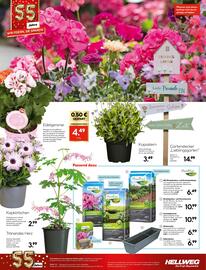 Hellweg Prospekt woche 14 Seite 30