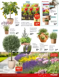 Hellweg Prospekt woche 14 Seite 29