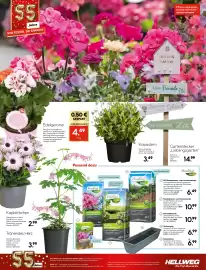 Hellweg Prospekt woche 14 Seite 30