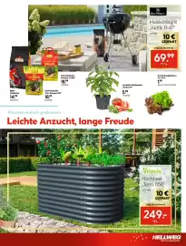 Hellweg Prospekt woche 14 Seite 9