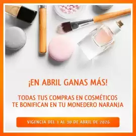 Folleto La Comer Página 4