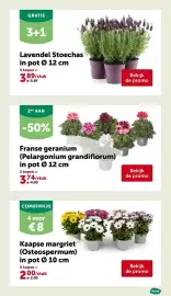 AVEVE folder Pagina 10