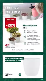 AVEVE folder Pagina 12