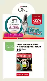 AVEVE folder Pagina 19