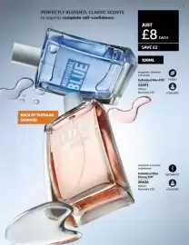 Avon catalogue Page 113