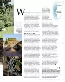 Sainsbury's leaflet Page 117