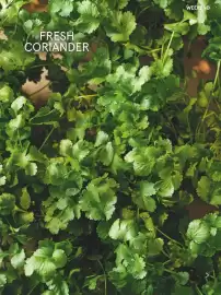 Tesco leaflet Page 27