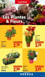 Catalogue Lidl semaine 15 page 25