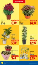 Catalogue Lidl semaine 15 page 26